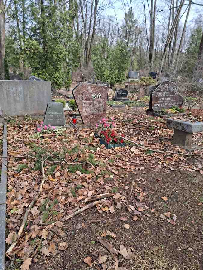 Могила с цветами и опавшими листьями, что свидетельствует о необходимости ухода за могилой.