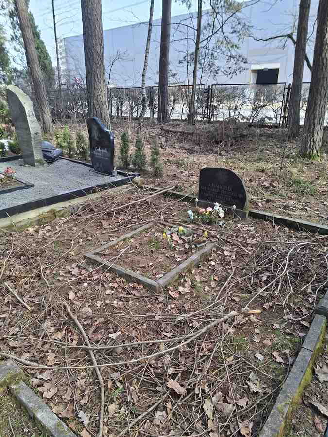 Могила с каменным памятником и заросшими вьющимися растениями